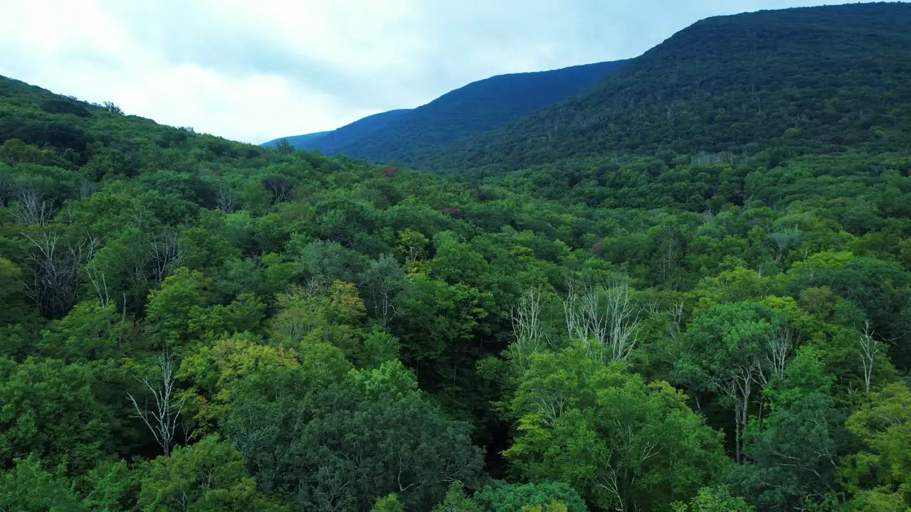 Beautiful springtime drone footage in the Appalachian Mountains