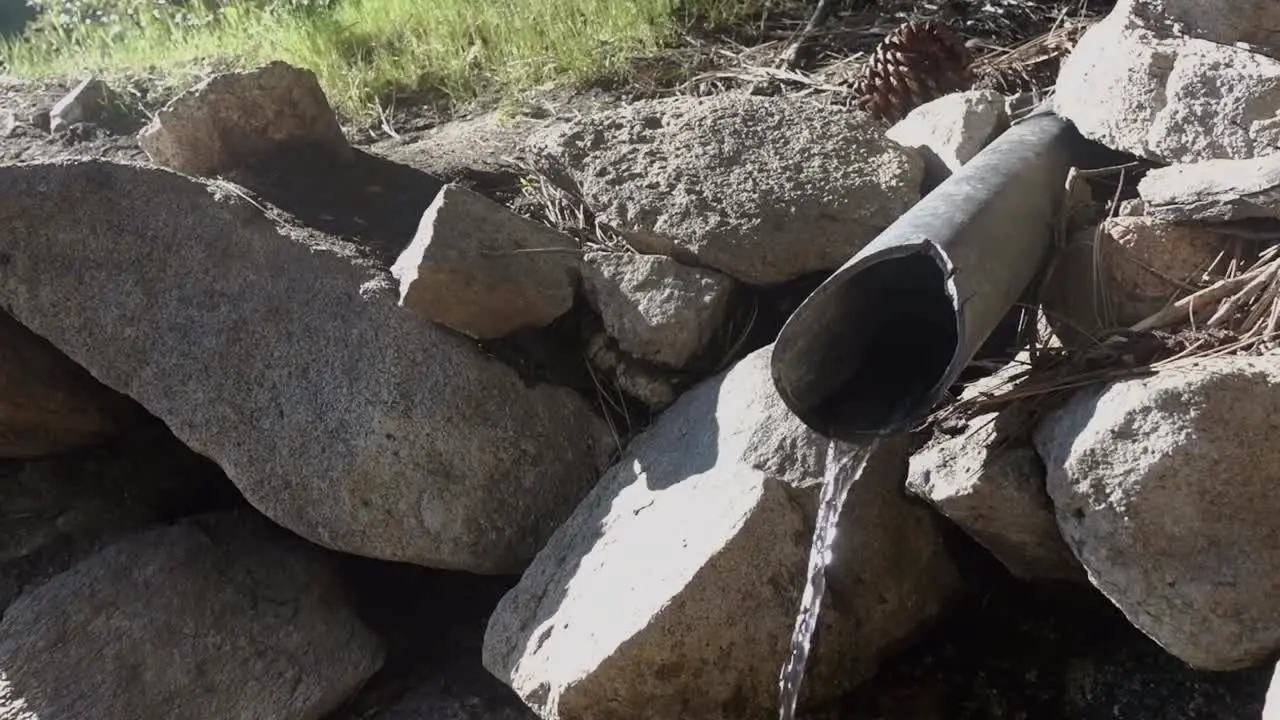 A piped spring in southern California in late April