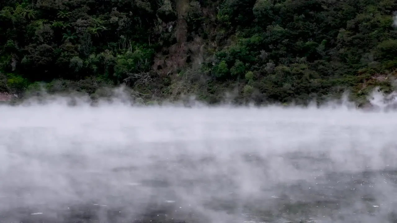 A Natural Hot Spring in Rotorua New Zealand