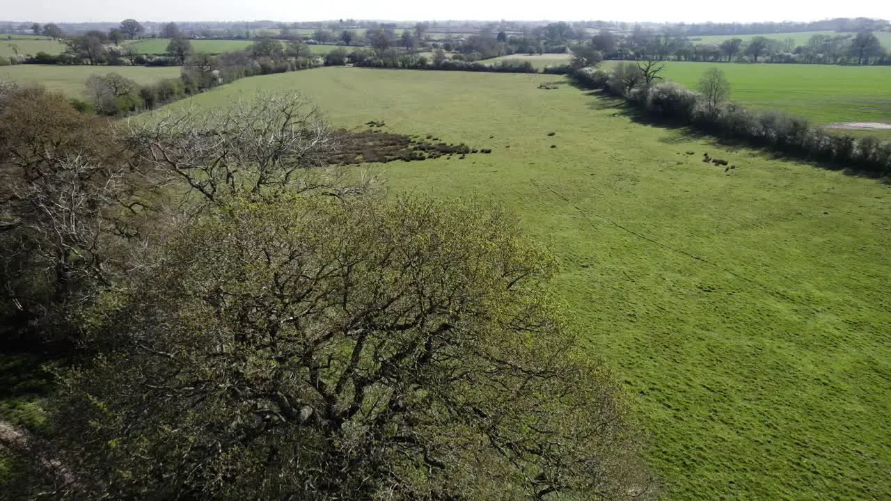 Spring Time Season Aerial Landscape Warwickshire Blossom Hedge Field Farmland Rural