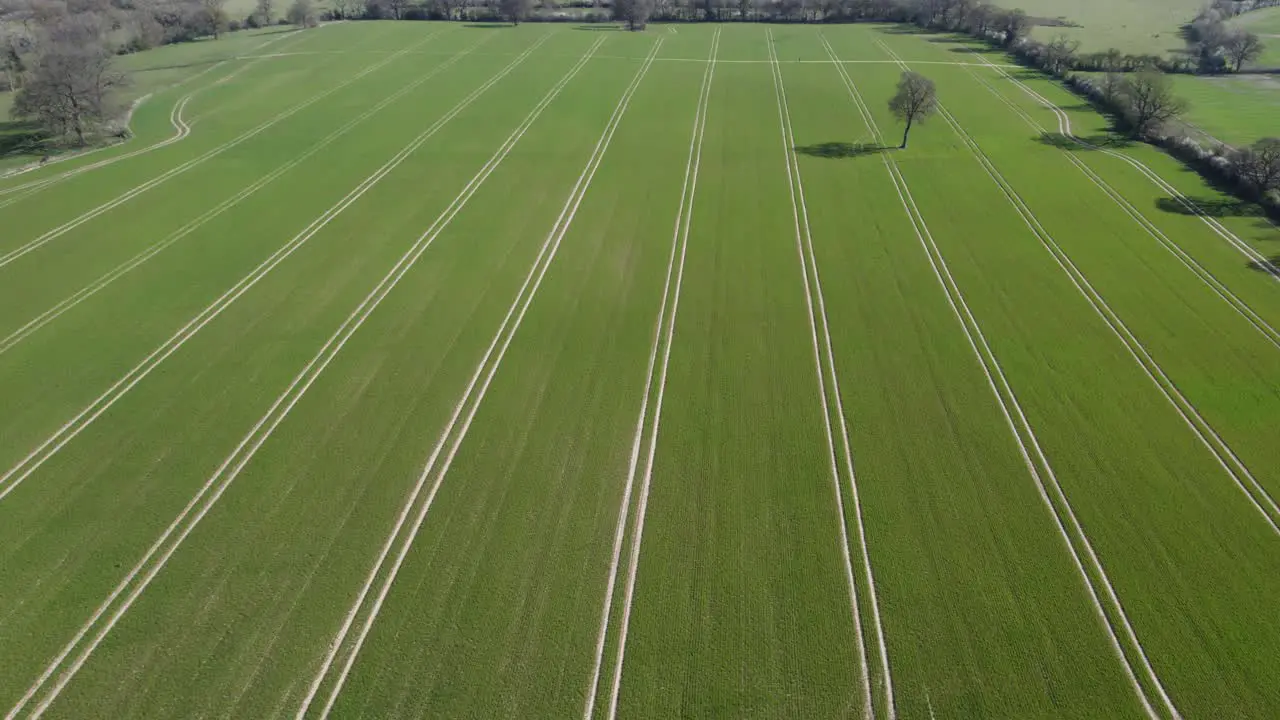 Spring Crop Field Aerial View Agriculture Farmland Trees Pattern Lines Tracks