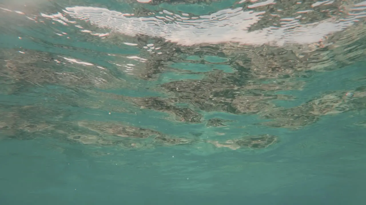 Cinematic underwater shot of the water surface in slow motion with very clear waters in blue 120FPS 4K Slomo