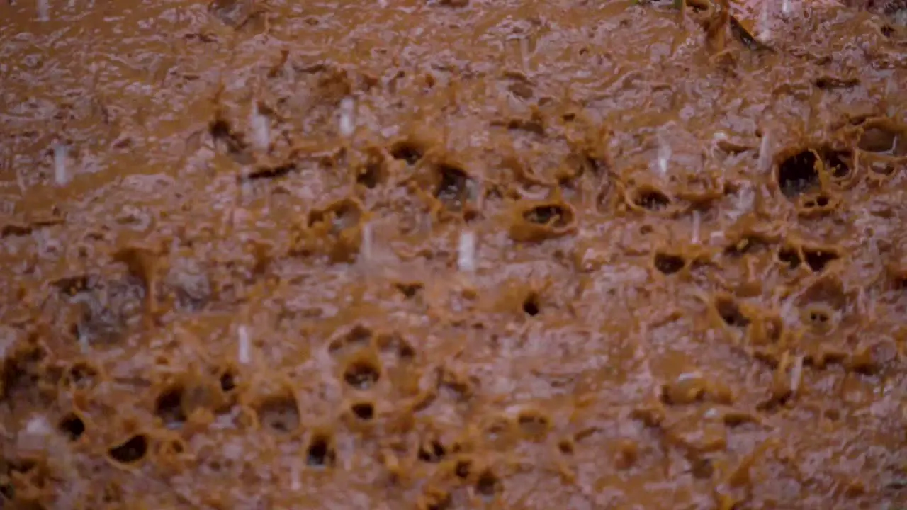 Slow motion shot of rain drops hitting a muddy puddle and creating interesting patterns with the splashes