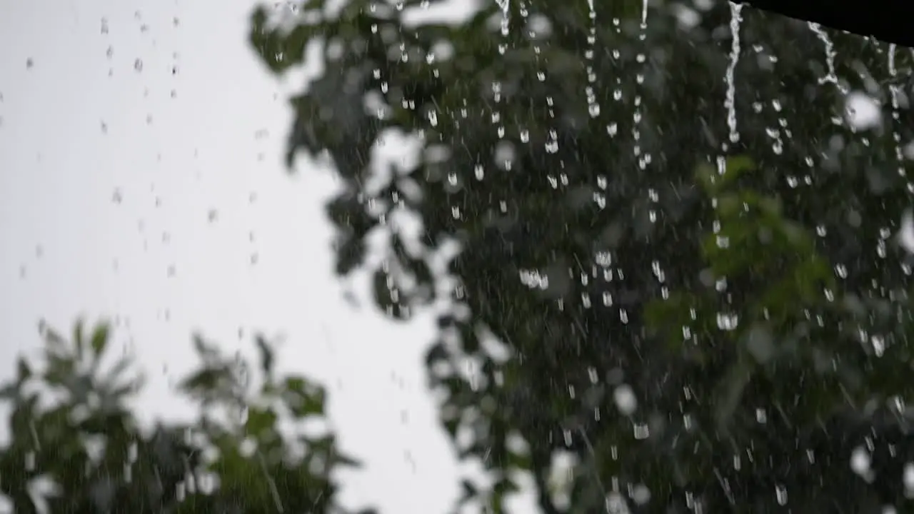 Slow motion close up shot of rain pouring off a roof guttering with trees swaying in the wind in the background