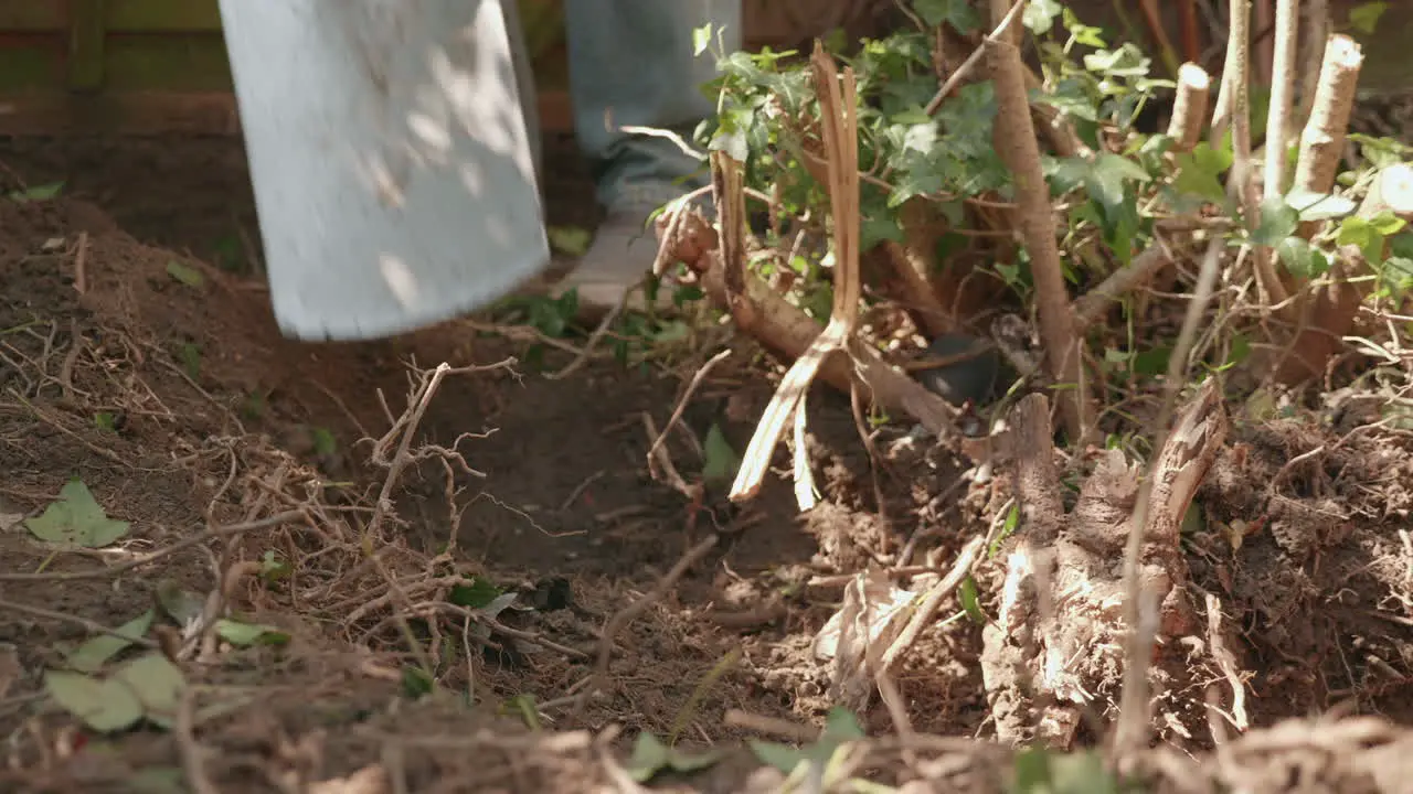 Slow motion footage of a spade striking the ground