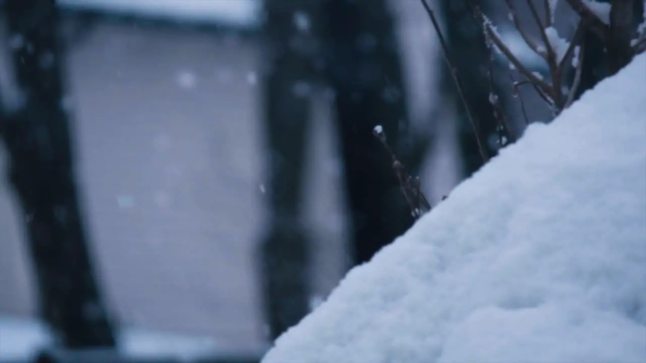 Snow Falling on Small hill in Slow Motion in the winter