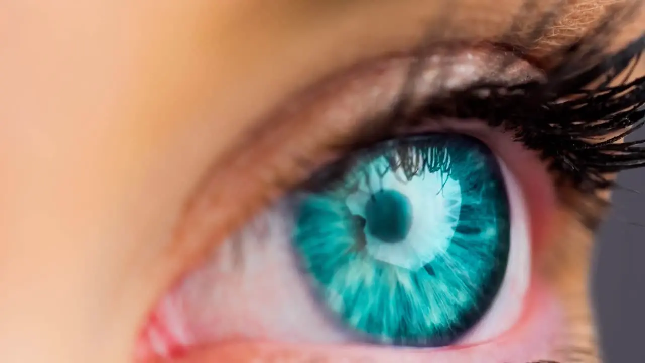 Close up of female green eye against grey background