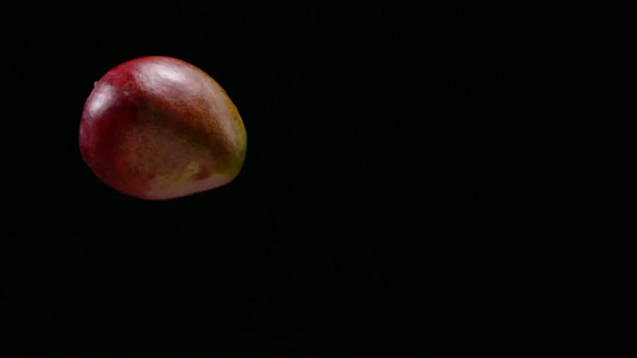 Fresh mango fruit falling with black background slow motion