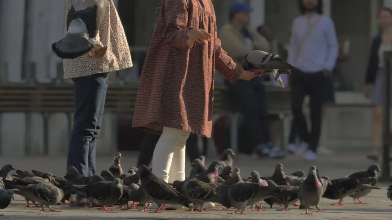 Children feeding pigeons