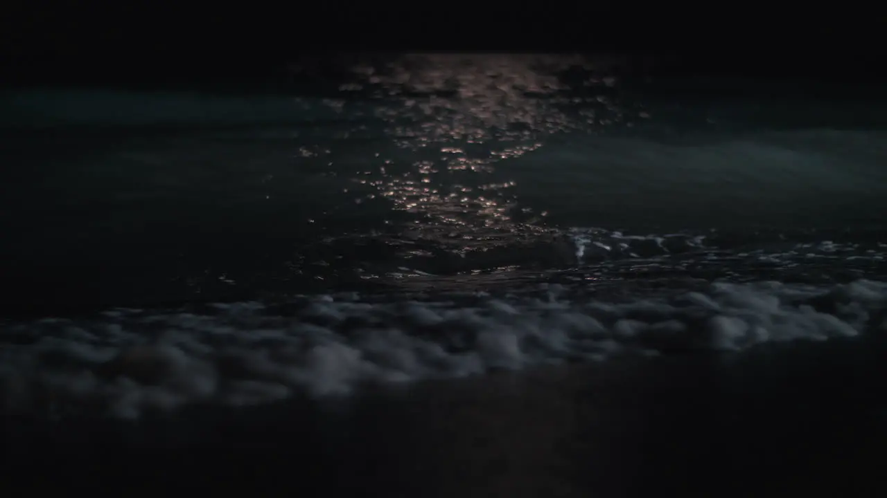 Scene of the sea washing shore at night