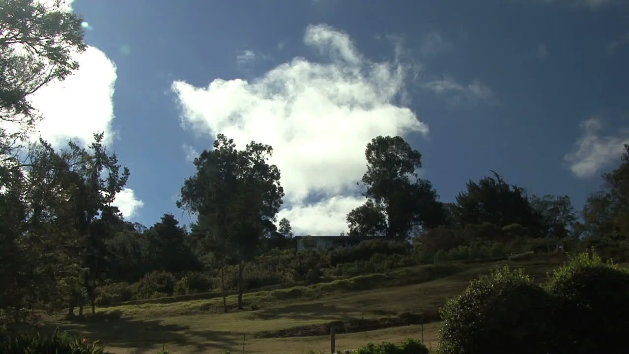 Afternoon cloud in the tropics