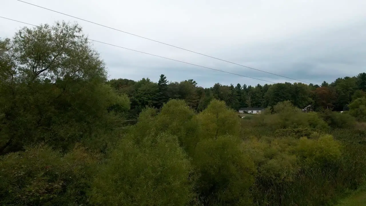 Trees at little black lake in Muskegon MI