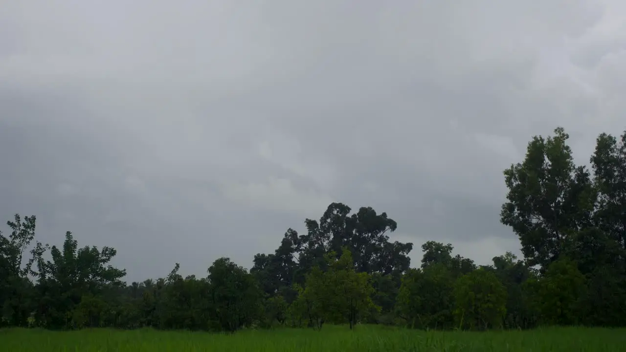 timelaps of cloudes with moving trees wide shot