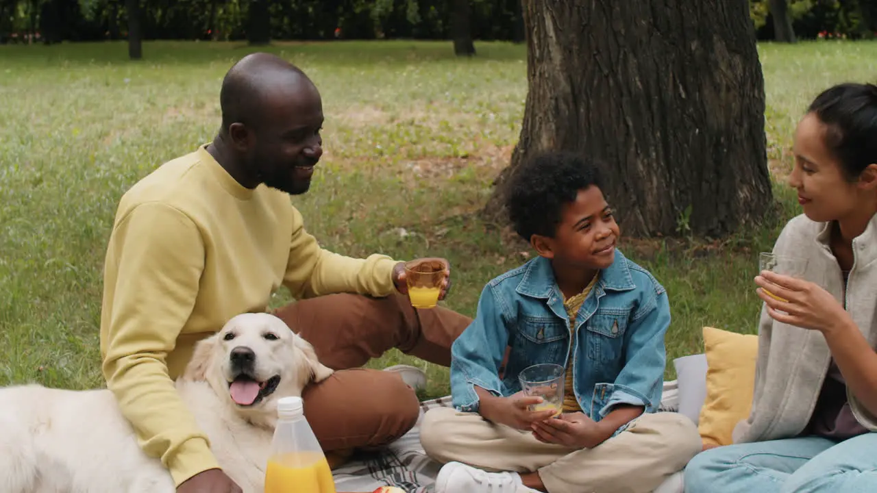 African Parents and Kid Chatting on Picnic in Park