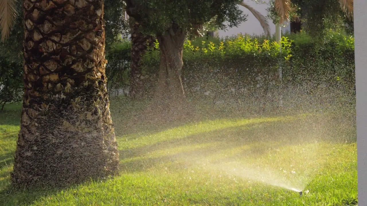 Lawn sprinkler watering grass in the garden