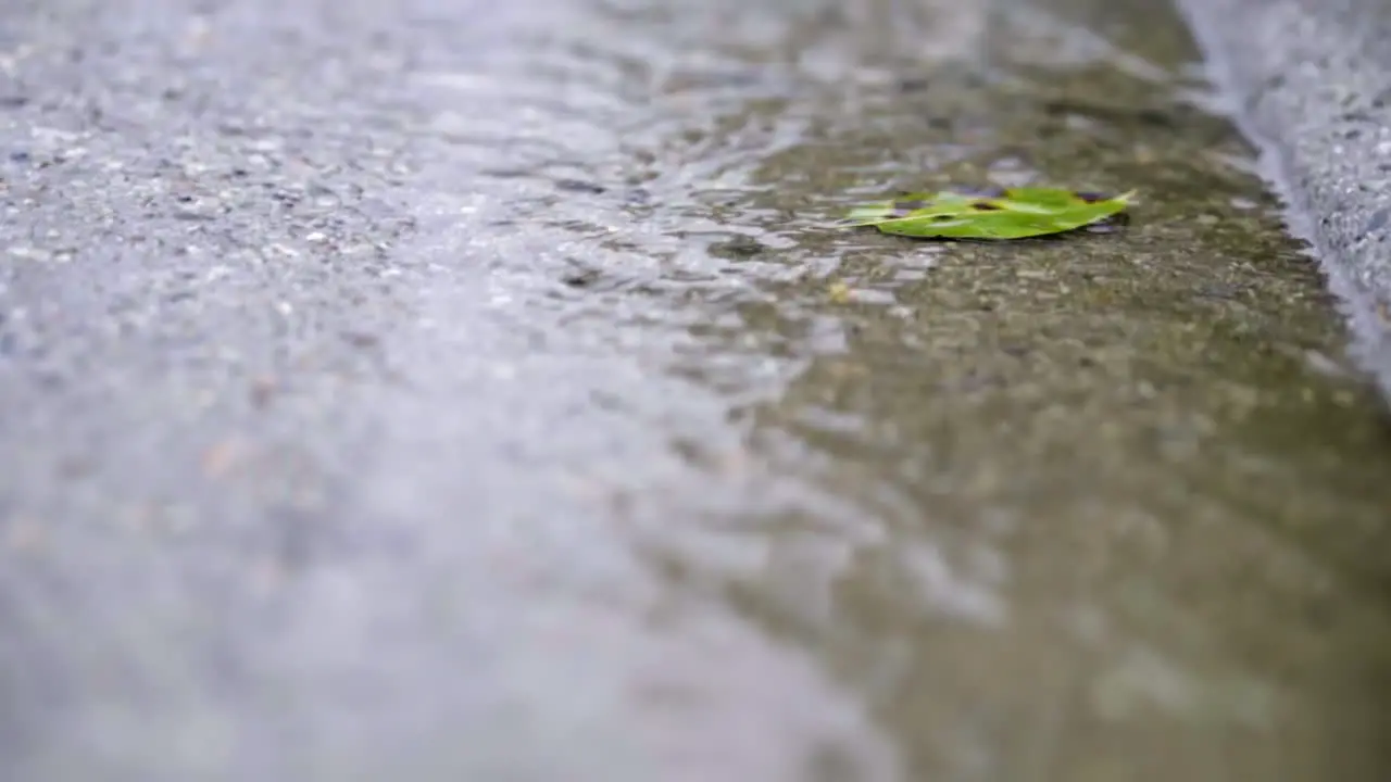 Slow Motion of Green Leaf Floating in Sidewalk Gutter Stream