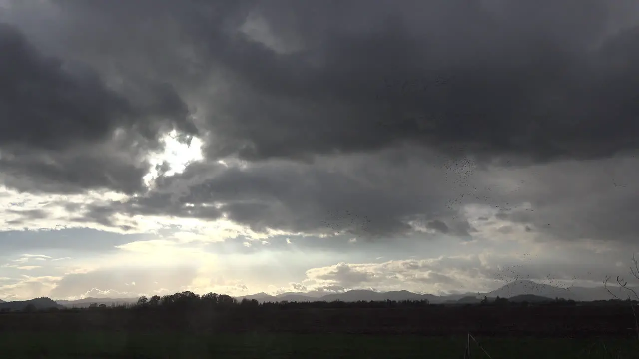 Oregon Dark Clouds And Birds Above Field Time Lapse