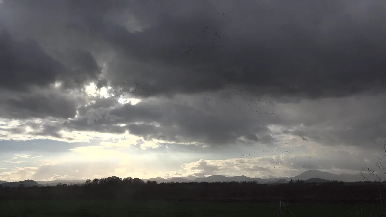 Oregon Dark Clouds And Birds Above Field Fly Right