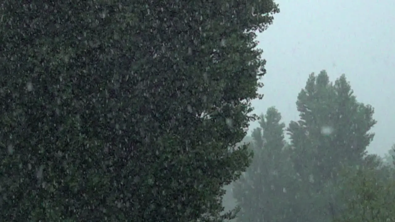 Torrential rain falls past trees in a park in slow motion shot at 1000 frames per second