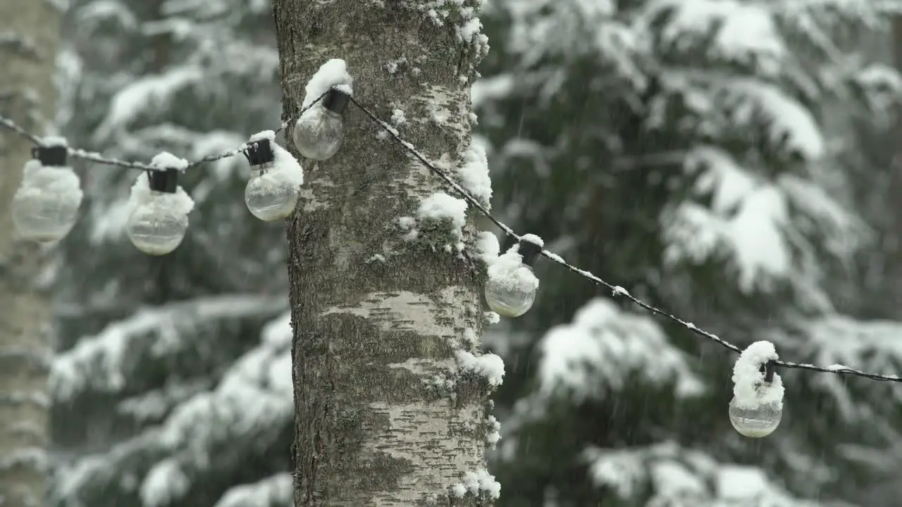 Party lamp chain in the snow