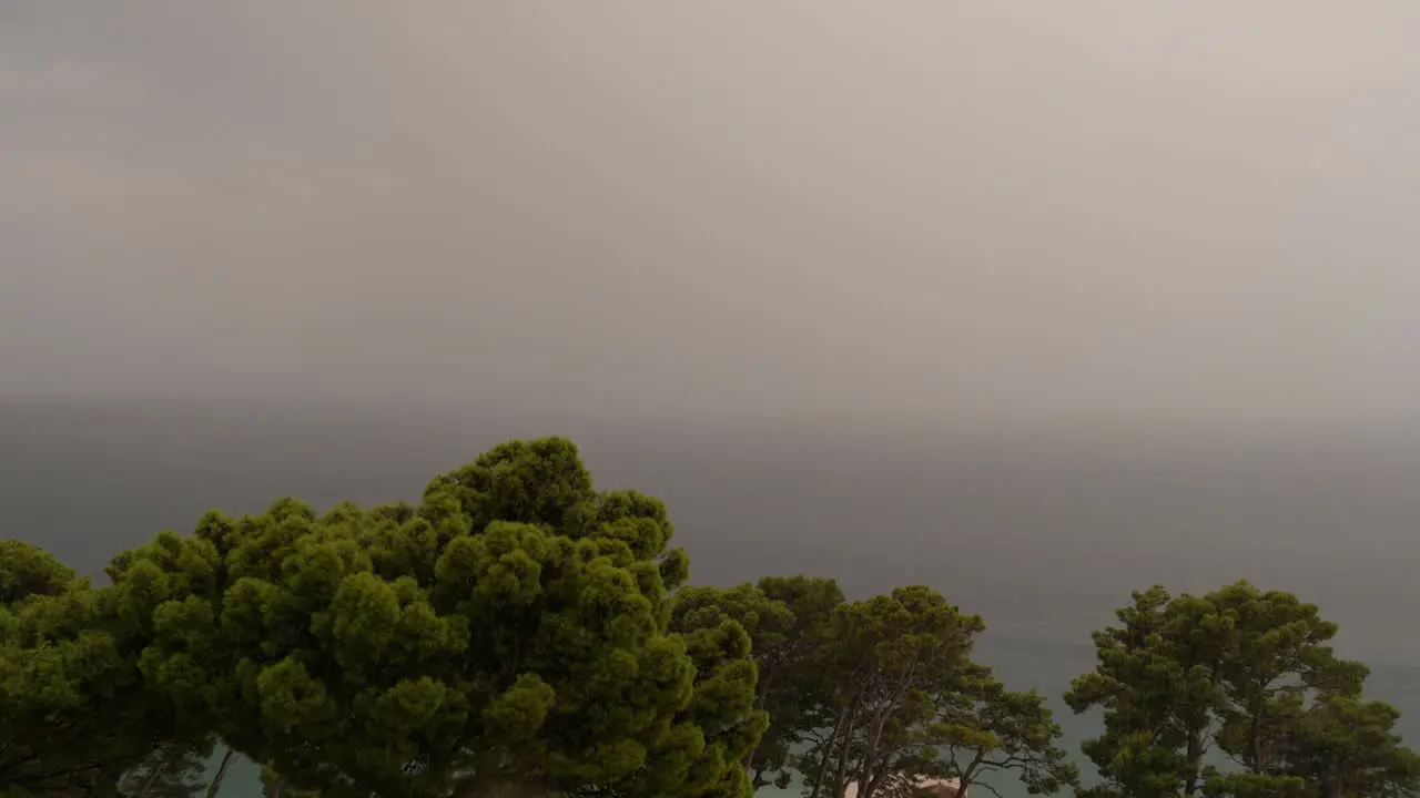 Massive rain at the shores of the Adriatic sea with Green Aleppo Pine trees in the foreground