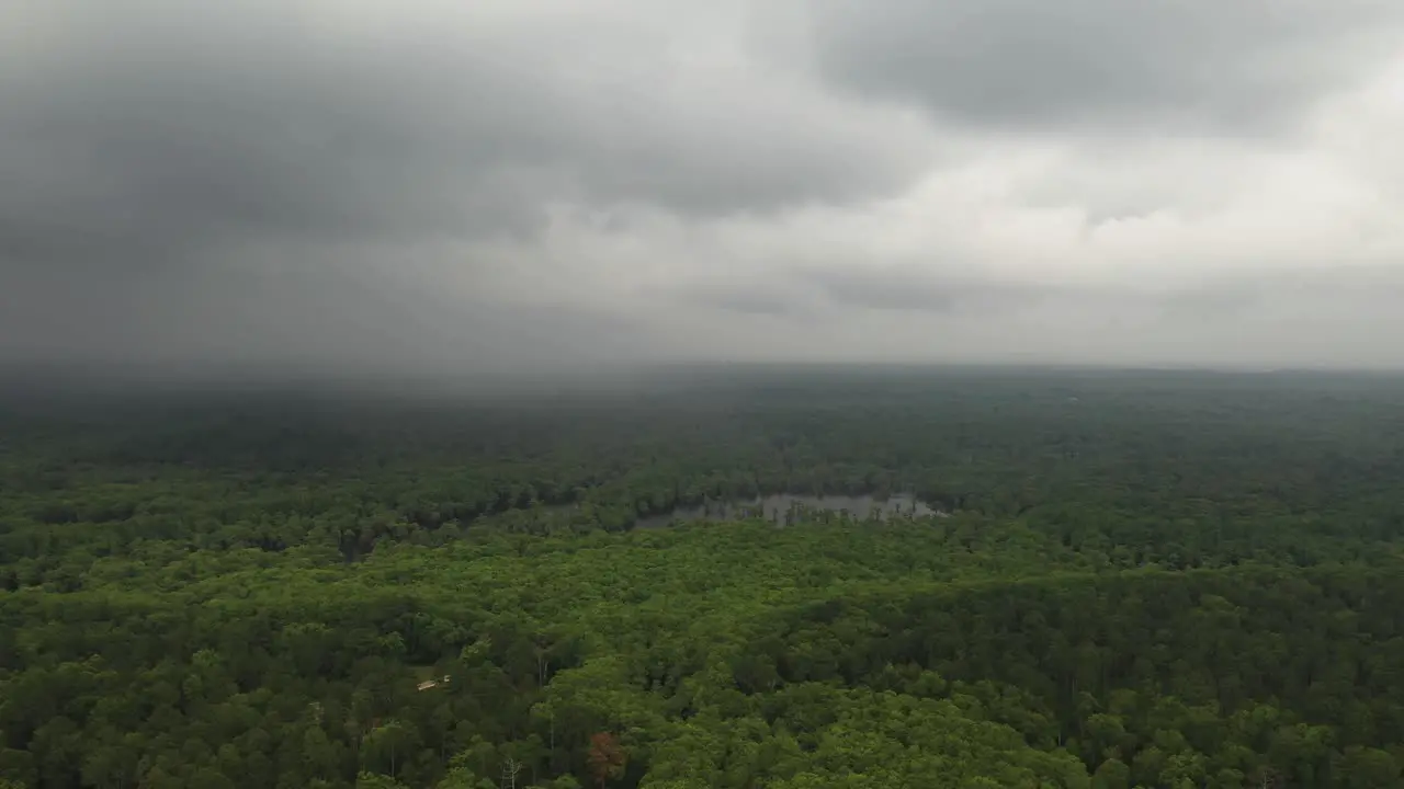 Aerial View of Cloudy Sky Above Thick Rainforest