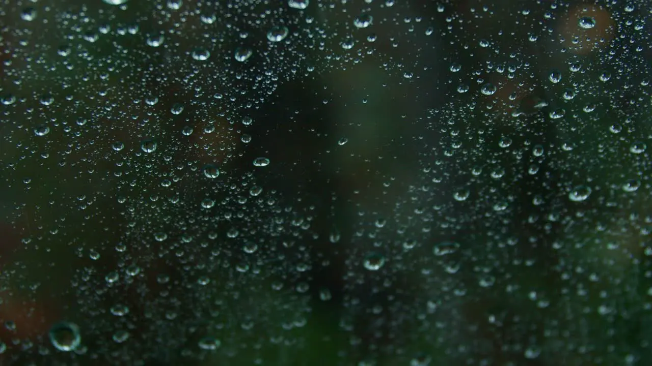 Raindrops falling on window glass blurred forest background behind