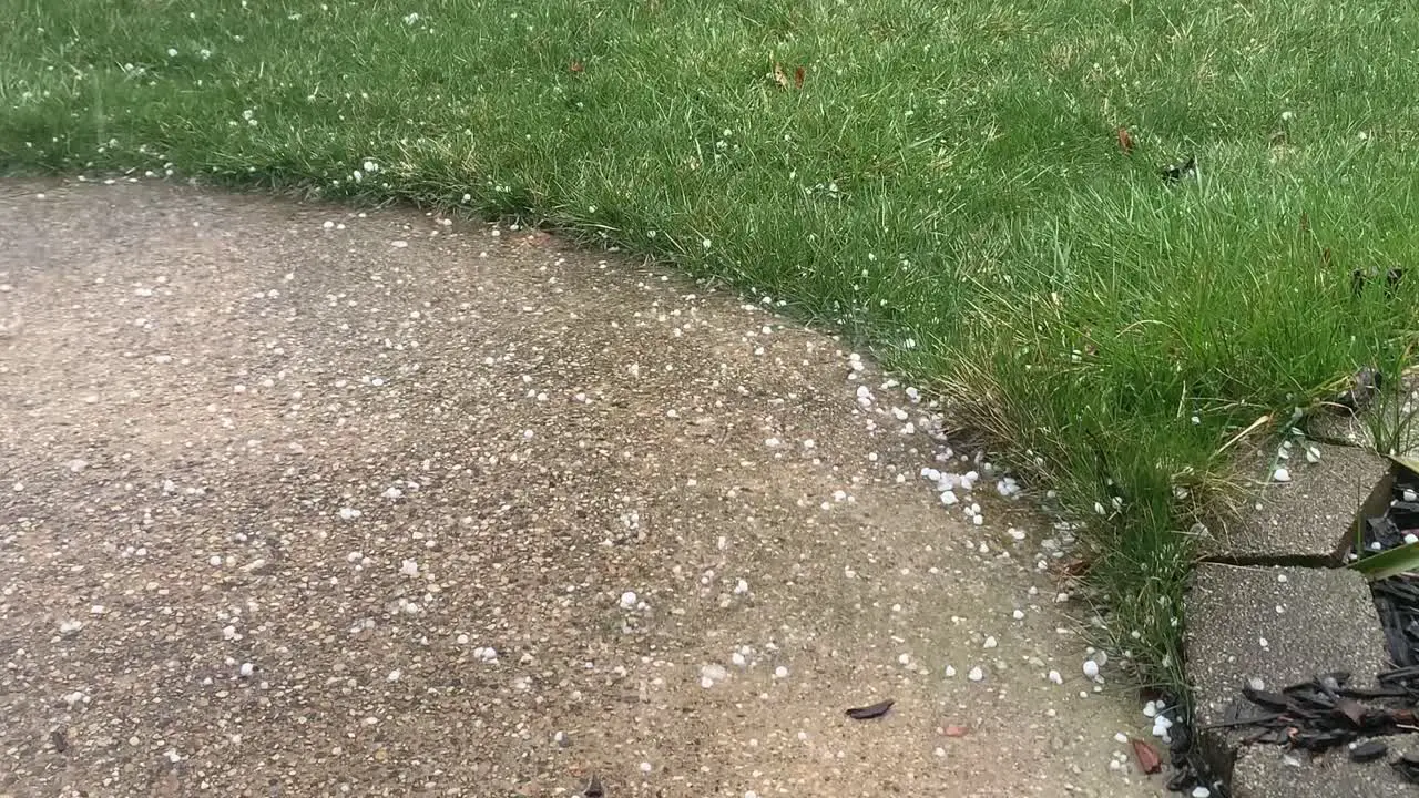 Hail during rainstorm on a sidewalk near grass close up