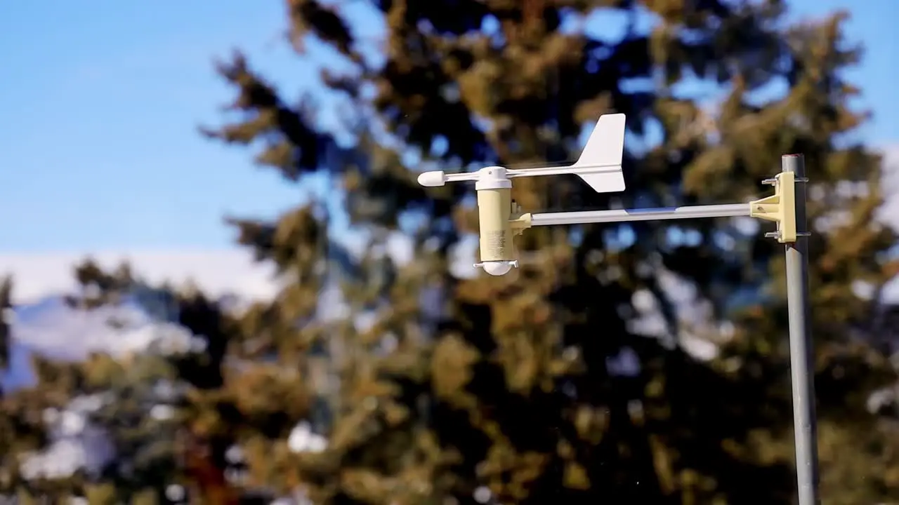 Small wind vane in front of pine trees