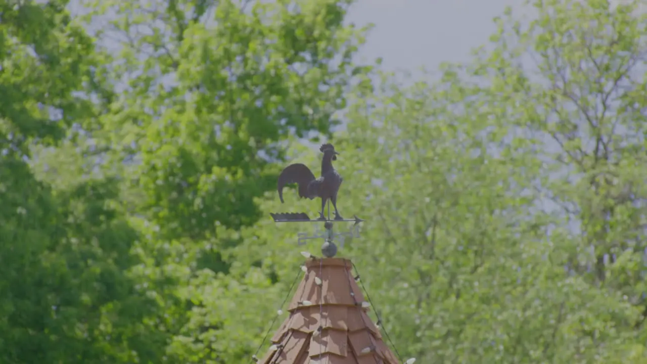 Weather Vane Rooster Against Trees In Sunlight During Summer