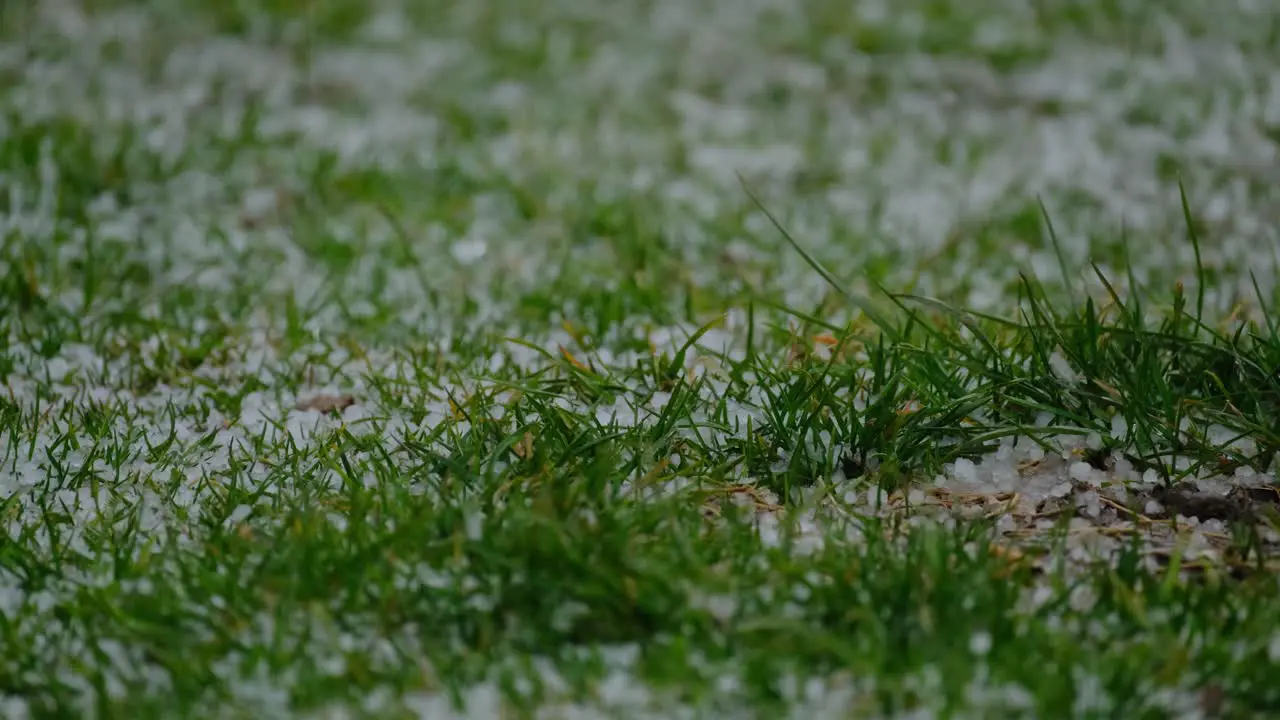 4K Small hail falls on grass stable close up shot