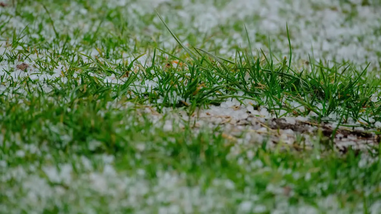 4K Small hail falls on grass stable close up shot 400mm