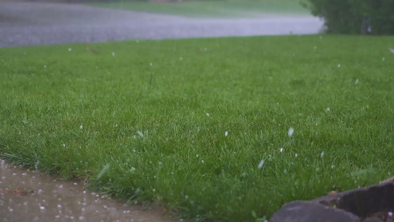 Weather_Hail falling on green lawn and street