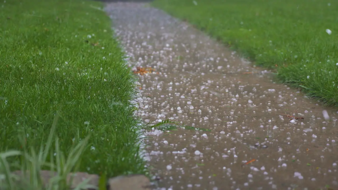 Weather_Heavy Hail falling on sidewalk and green lawn and fallen leaves