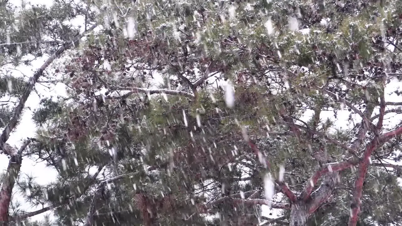 Heavy snow falling