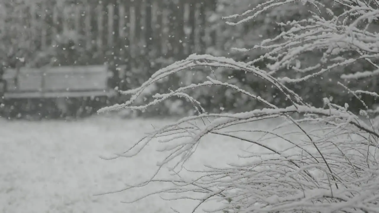 Heavy snow falling in a garden in West Yorkshire