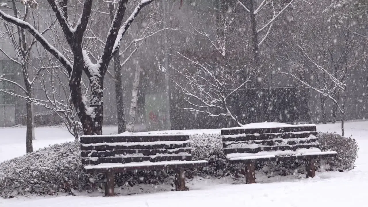 Heavy snow falling in a park with park benches