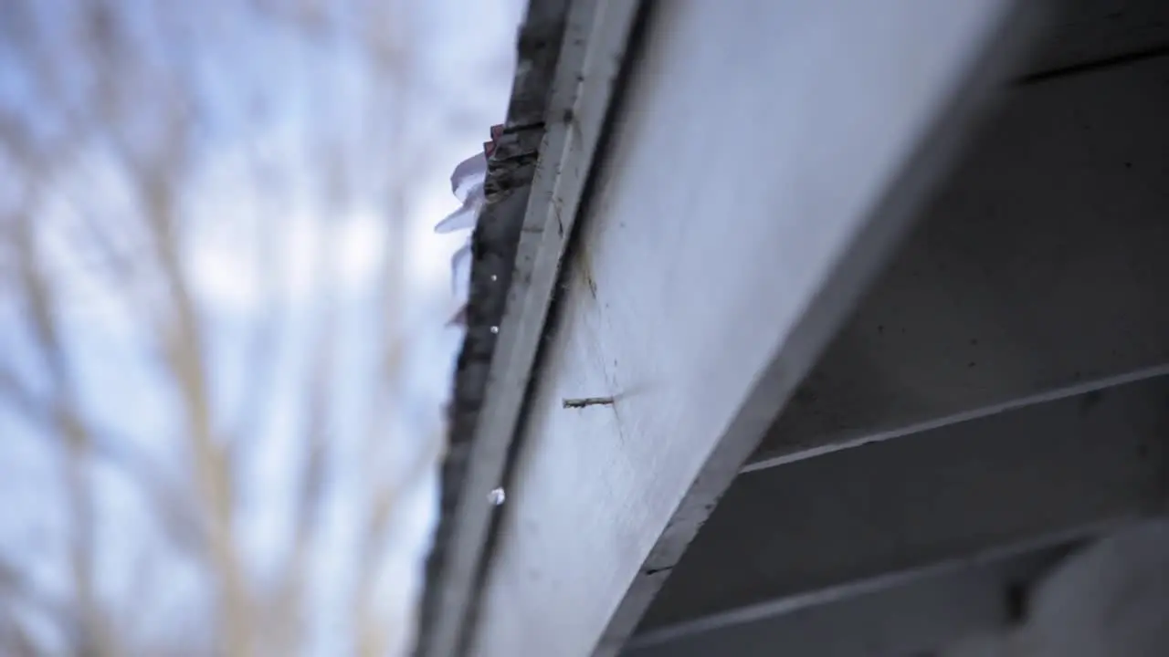 Ice melting and dripping off the edge of a roof