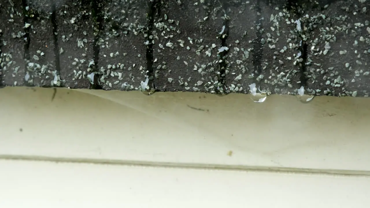 Dripping rain drops on a shed roof in a garden in the north of England