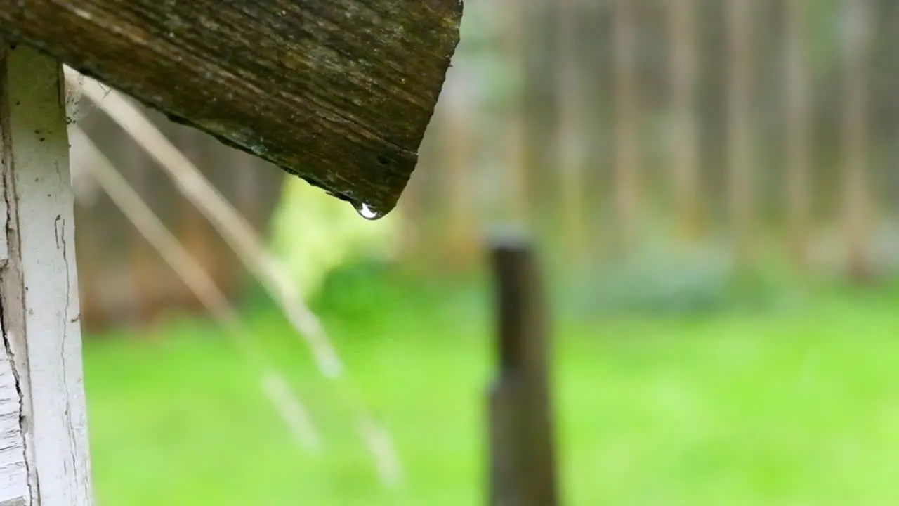 Dripping rain drops from a shed roof in a garden in the West Yorkshire