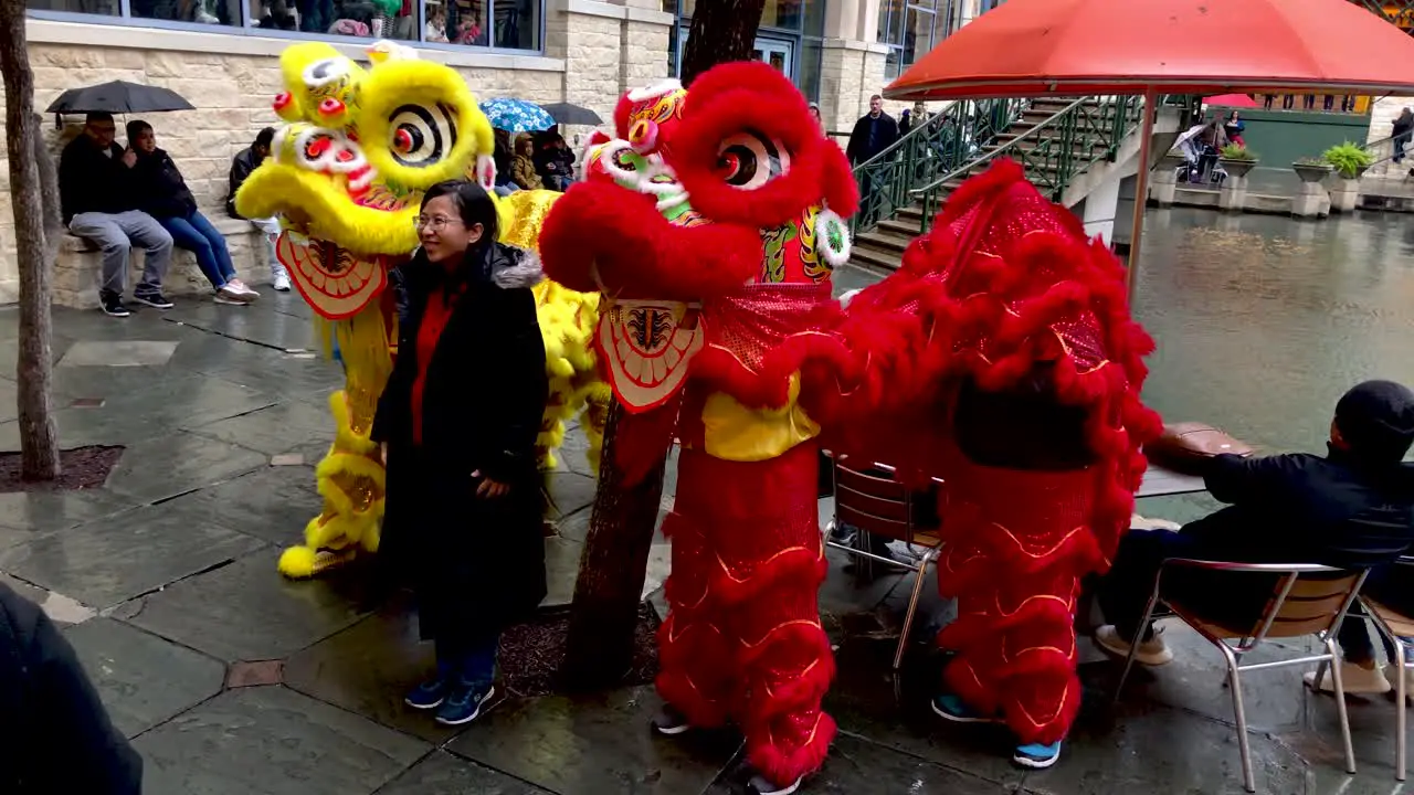 Chinese Dragons pose with guests at the Rivercenter Mall for the Concucius Lantern Festival 4K30fps