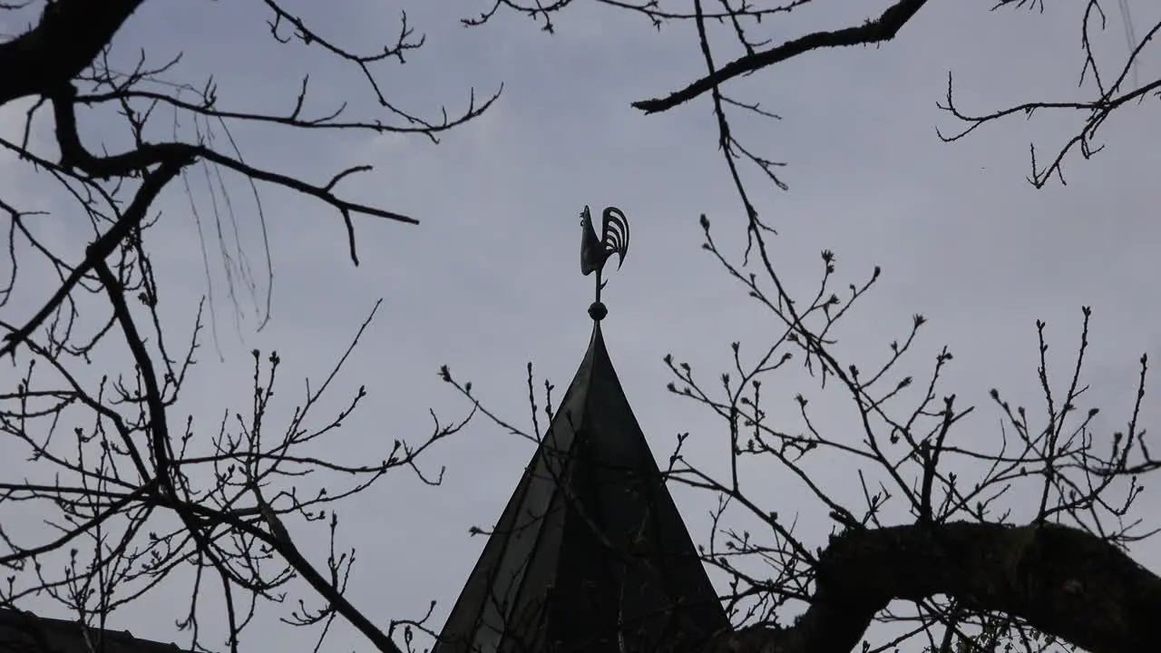 Germany weather vane and grey sky