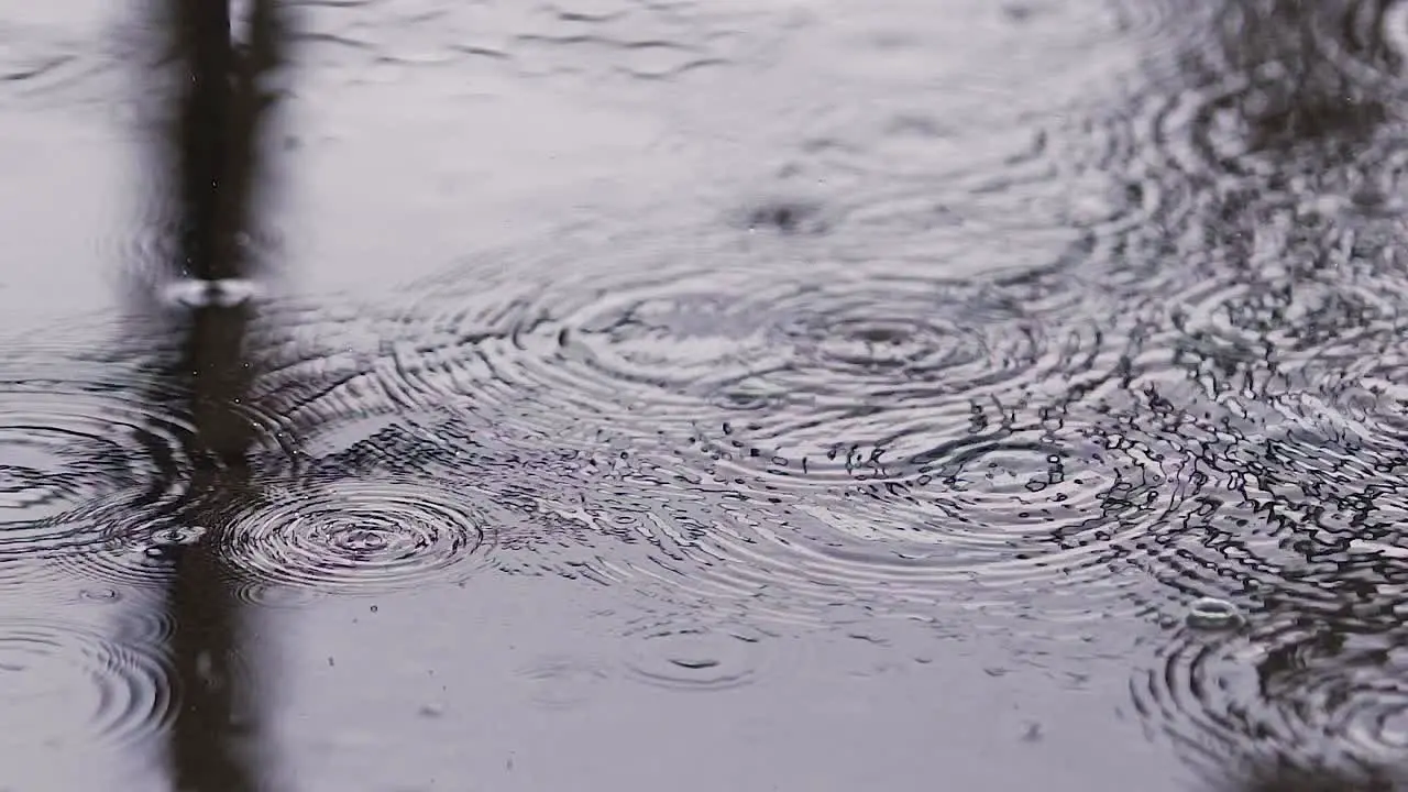 Rain drops and splash on water