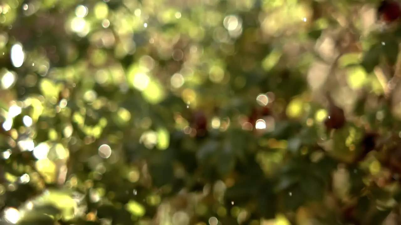 Raindrops falling in super slow motion