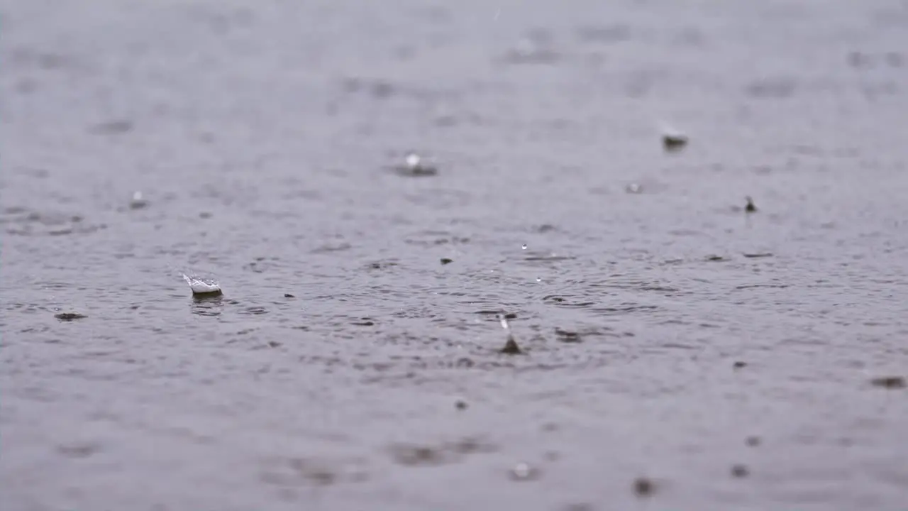 Raindrops falling on water surface in super slow motion