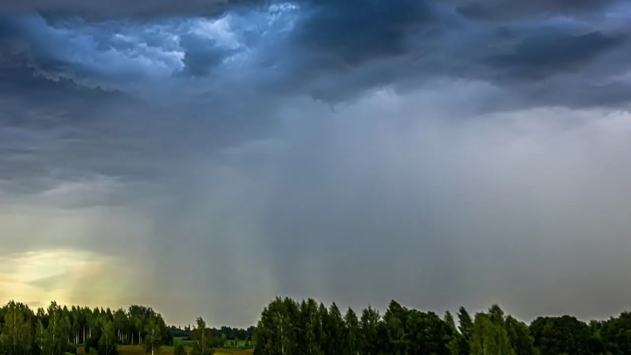 Timelapse of a rain pouring on a forested land