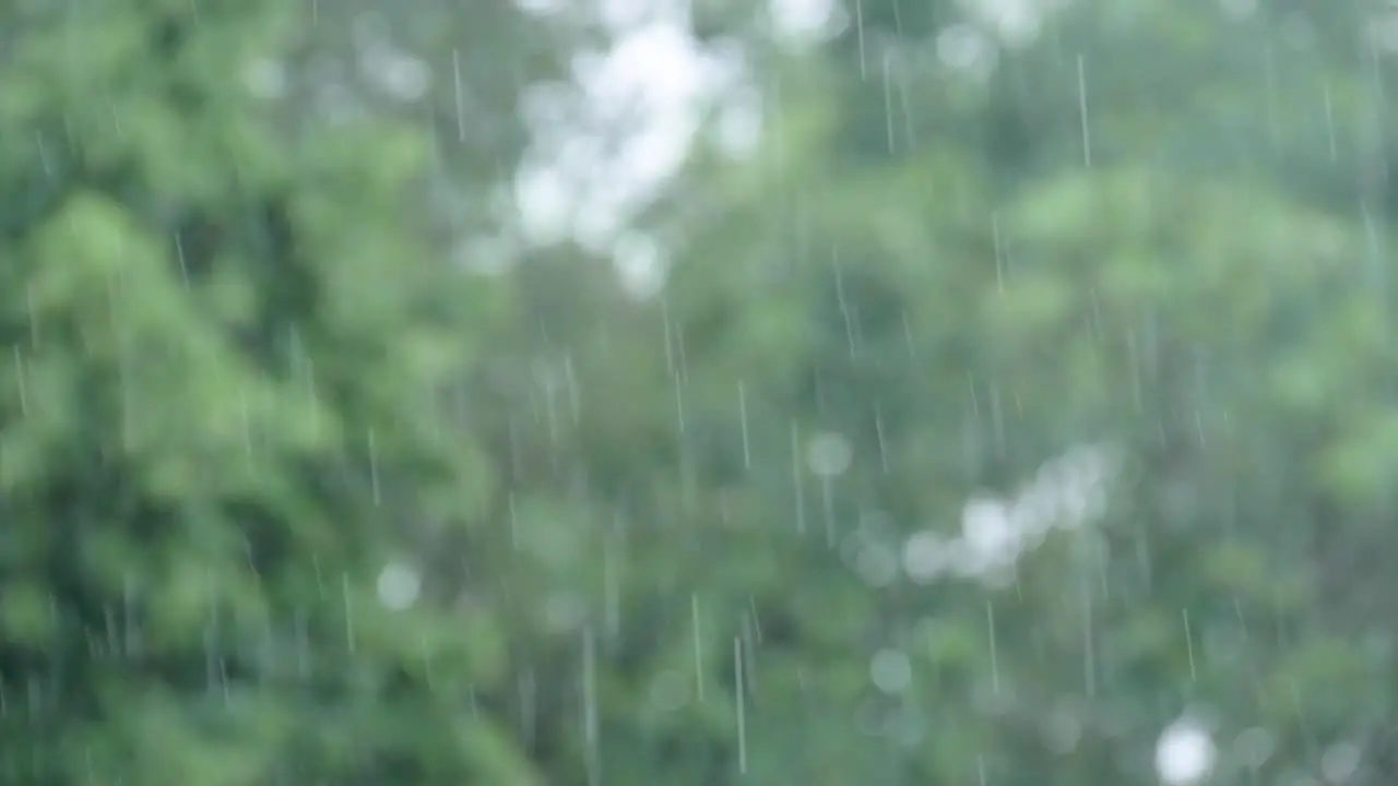 Heavy Rain in front of a blurry Background with Bokeh