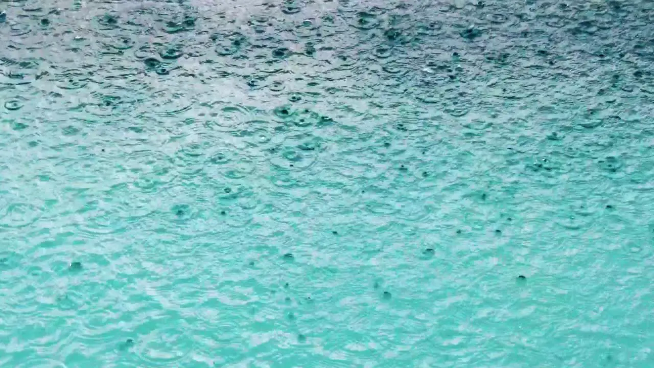 Rain drops falling on the water surface of a swimming pool