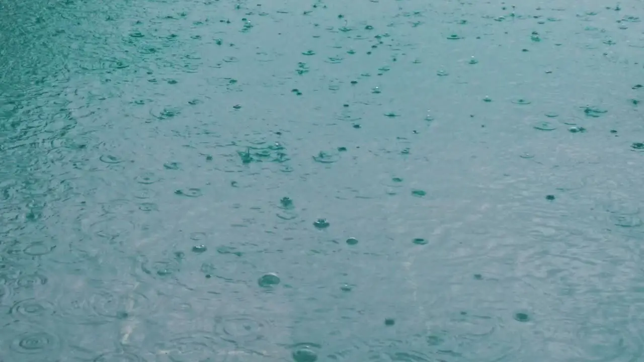 Still clip of raindrops hitting the water surface