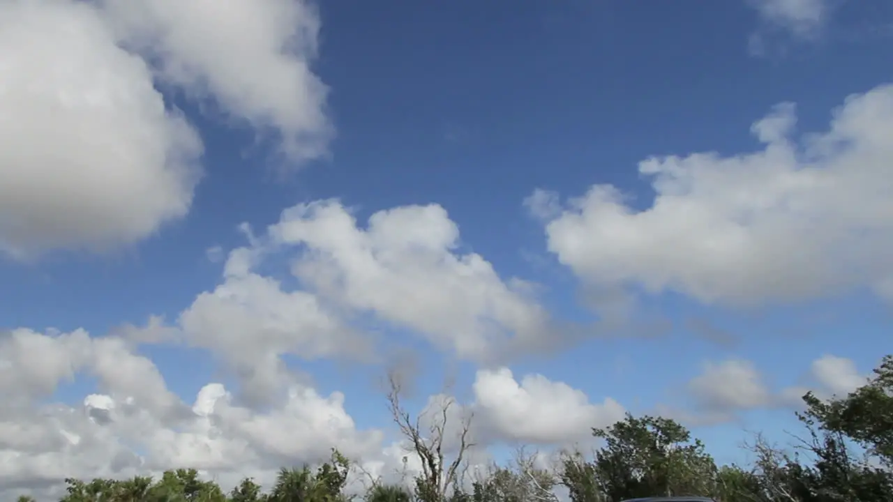 Florida Everglades Clouds Above Trees Time Lapse Pan